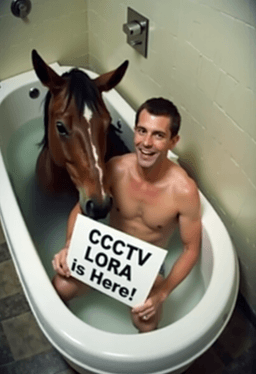 CCTV camera footage ...